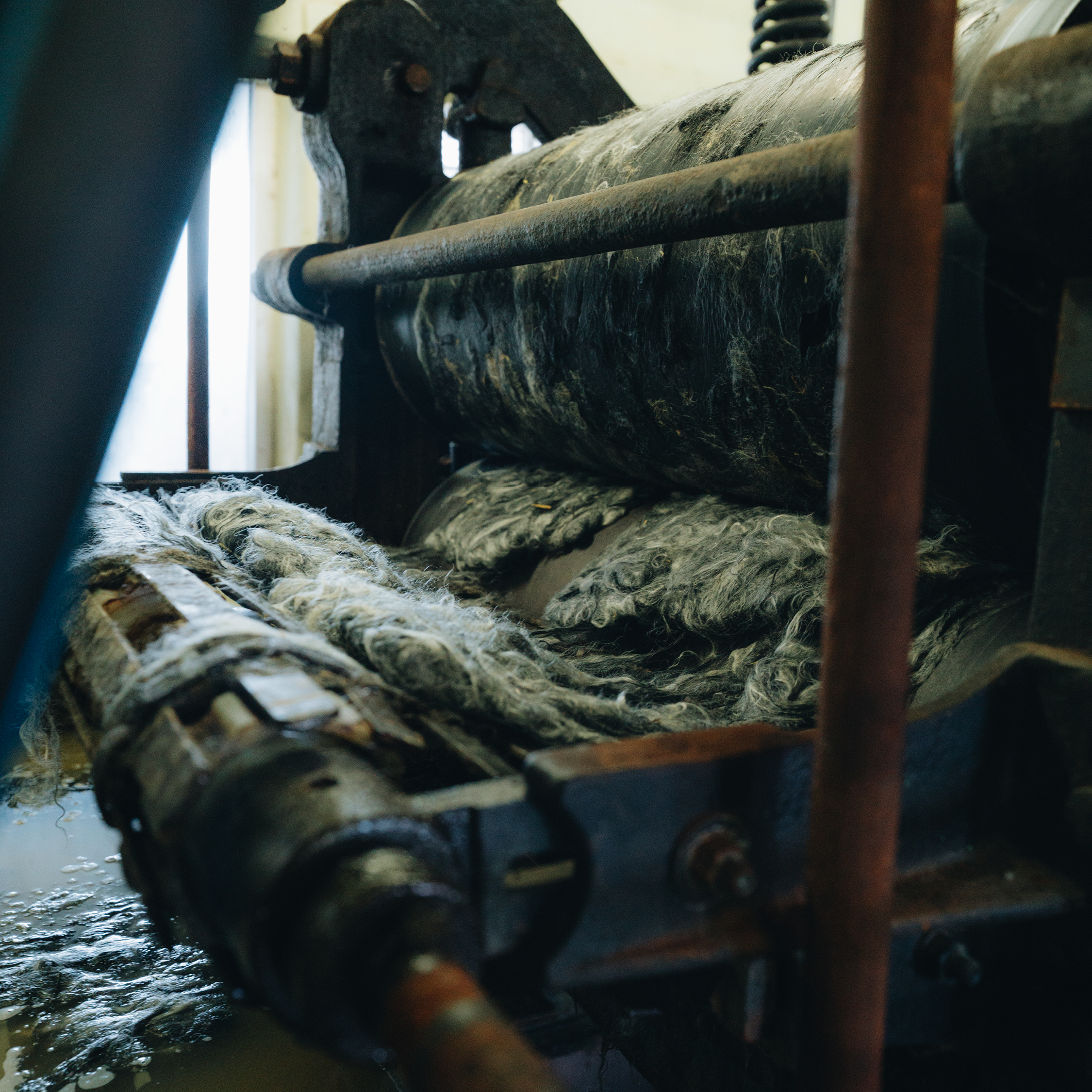 Behind the scenes - Swedish Wool